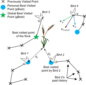 The Particle Swarm Optimization algorithm mimics the natural processes observed in bird flocks while searching for food